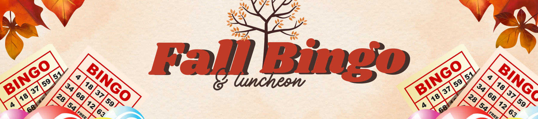 55+ Bingo Luncheon
